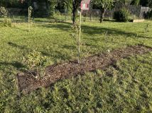 Działka rod Osiedle Niewiadów. Zdjęcie 1