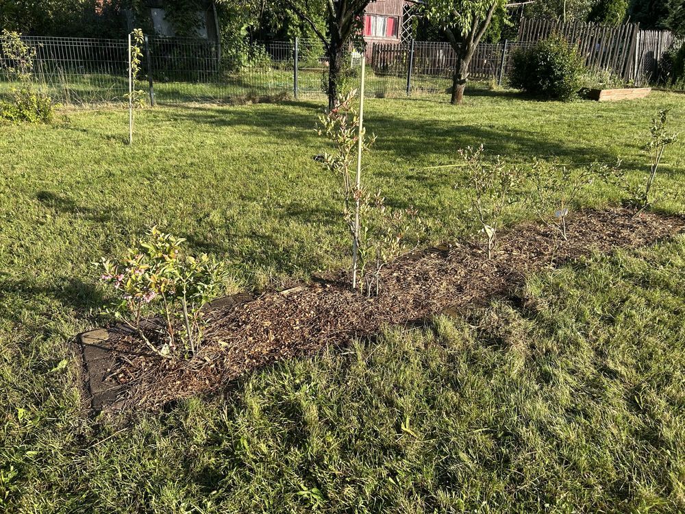 Działka rod Osiedle Niewiadów. Zdjęcie 2