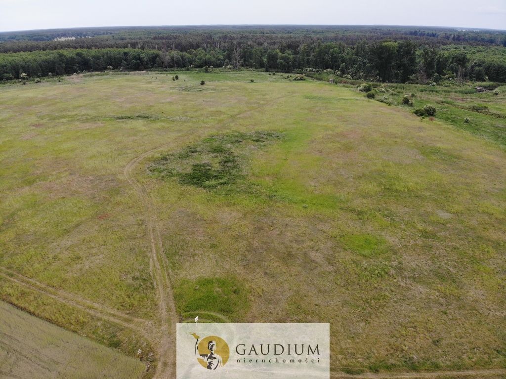 Działka Karszyn. Zdjęcie 15