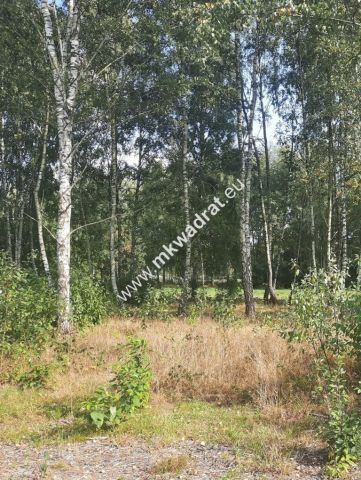 Działka budowlana Kajetany. Zdjęcie 1