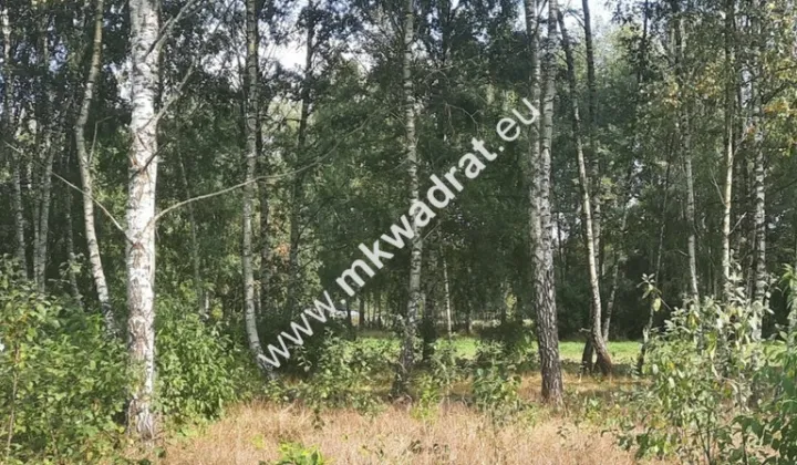 Działka budowlana Kajetany