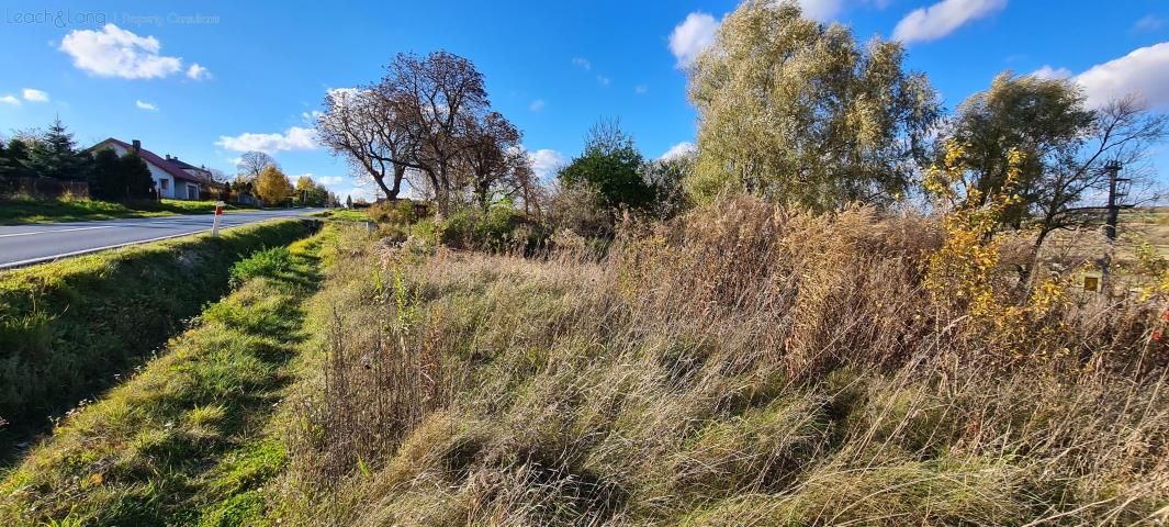 Działka rolno-budowlana Zamłynie. Zdjęcie 7