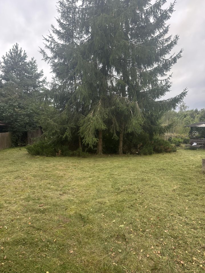 Działka budowlana Morgowniki. Zdjęcie 3