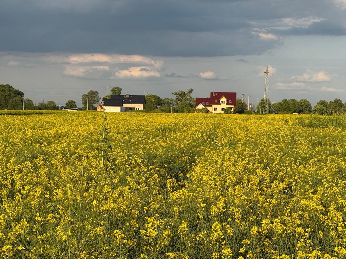 Działka budowlana Żerniki Wrocławskie, ul. Dębowa. Zdjęcie 5