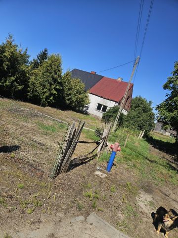 bliźniak, 3 pokoje Zielin, ul. Wincentego Witosa. Zdjęcie 1