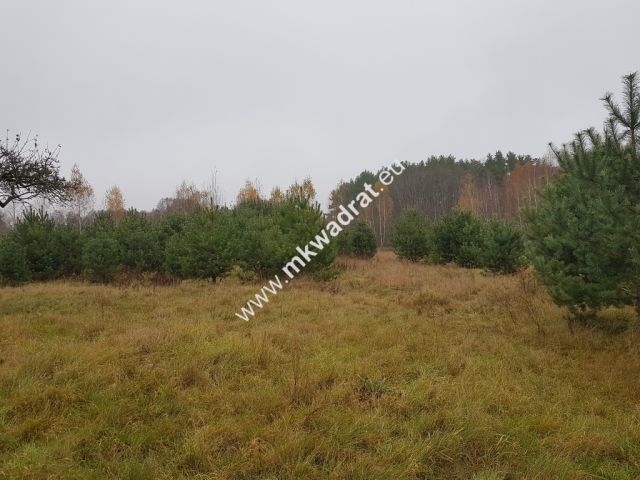 Działka budowlana Ojrzanów. Zdjęcie 8