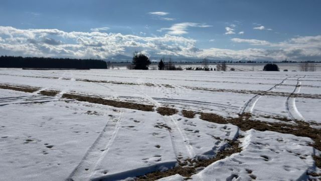 Działka rolna Jabłonka. Zdjęcie 4