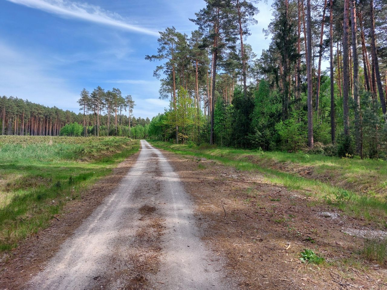 Działka rekreacyjna Starzechowice Sęp, BRAK. Zdjęcie 20