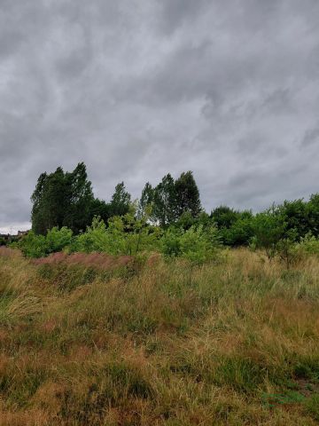 Działka inna Mysłowice Kosztowy, ul. Górnośląska. Zdjęcie 3