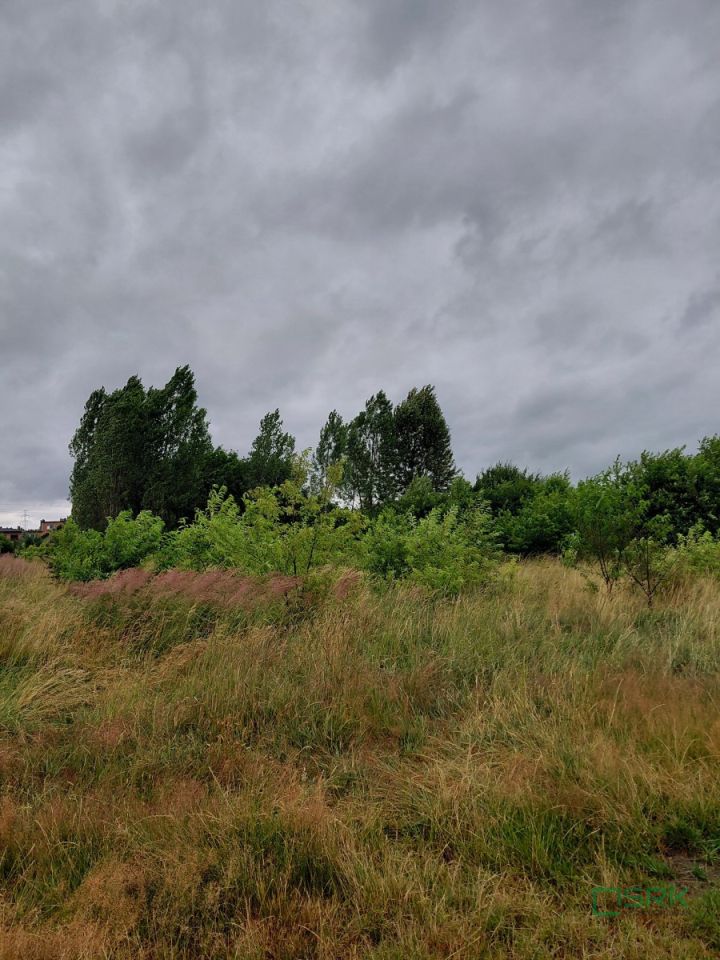 Działka inna Mysłowice Kosztowy, ul. Górnośląska. Zdjęcie 3