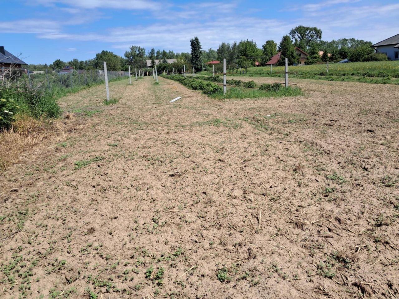 Działka rolno-budowlana Łęka. Zdjęcie 3