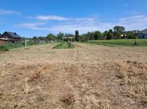 Działka rolno-budowlana Łęka. Zdjęcie 4