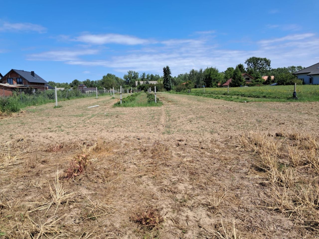 Działka rolno-budowlana Łęka. Zdjęcie 5