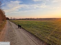 Działka budowlana Bledzew, ul. Tymiany. Zdjęcie 4