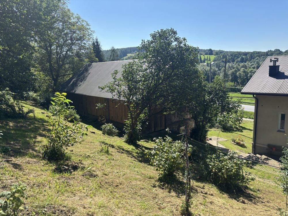 dom wolnostojący, 5 pokoi Niechobrz. Zdjęcie 4