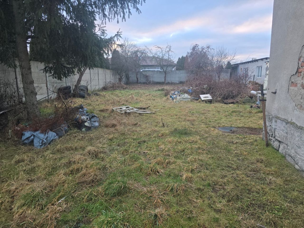 bliźniak Graniczna. Zdjęcie 3