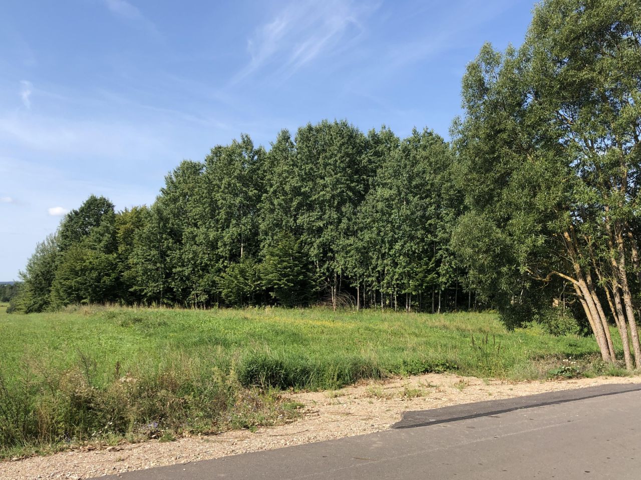 Działka siedliskowa Nowa Dębszczyzna Jemielistka Linia. Zdjęcie 6