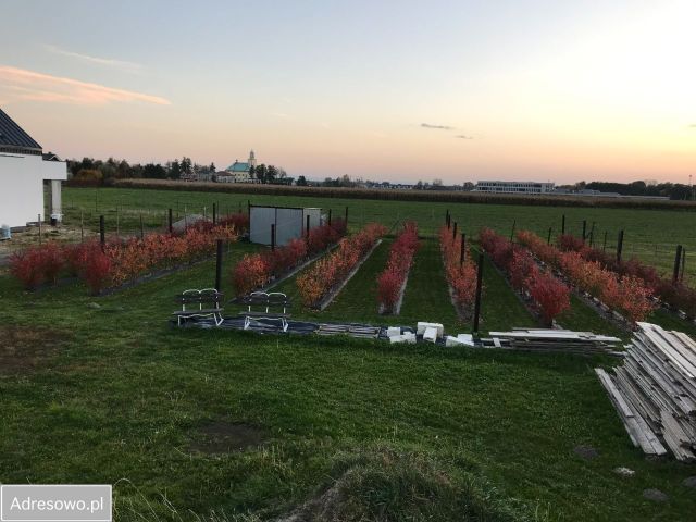 Działka budowlana Tychy, ul. Spokojna. Zdjęcie 1