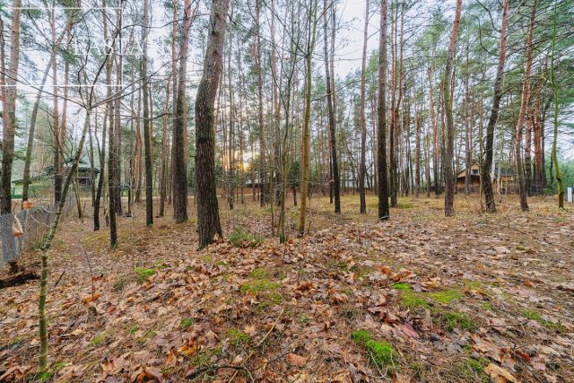 Działka rekreacyjna Nowy Lubiel, ul. Zakątek. Zdjęcie 2