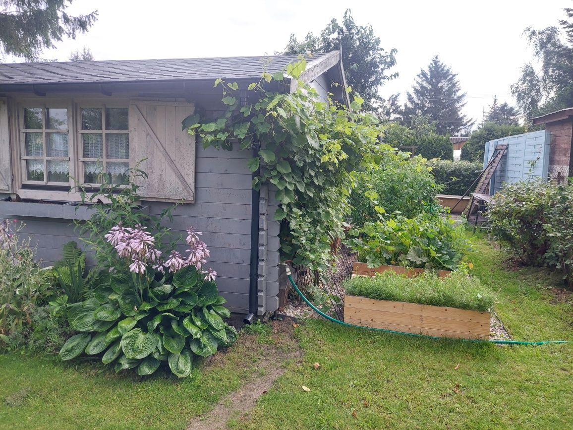 Działka rod Nowe Iganie. Zdjęcie 5