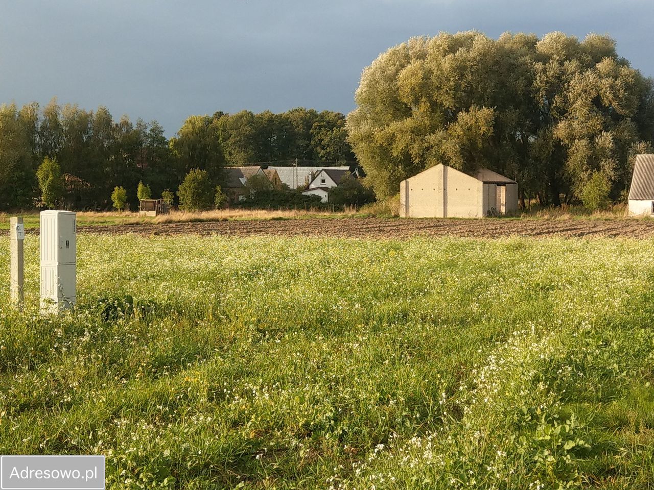 Działka rolna Sierosław. Zdjęcie 10
