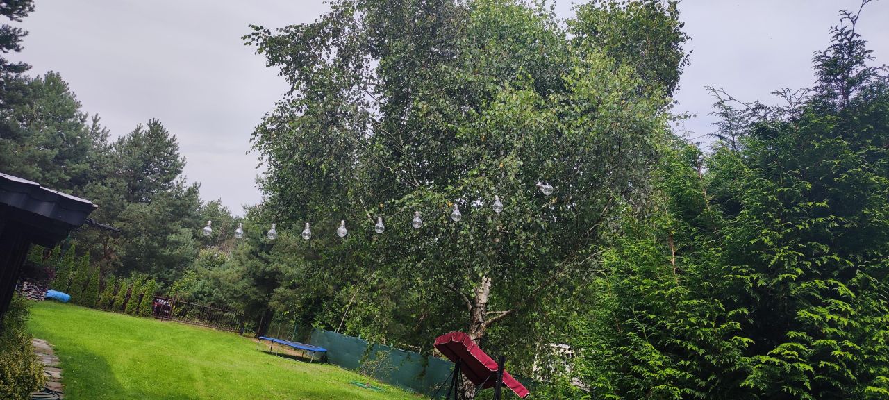 Działka rekreacyjna Zwierzewo. Zdjęcie 8