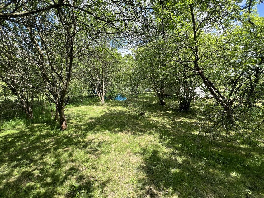 Działka rod Bogatynia. Zdjęcie 8