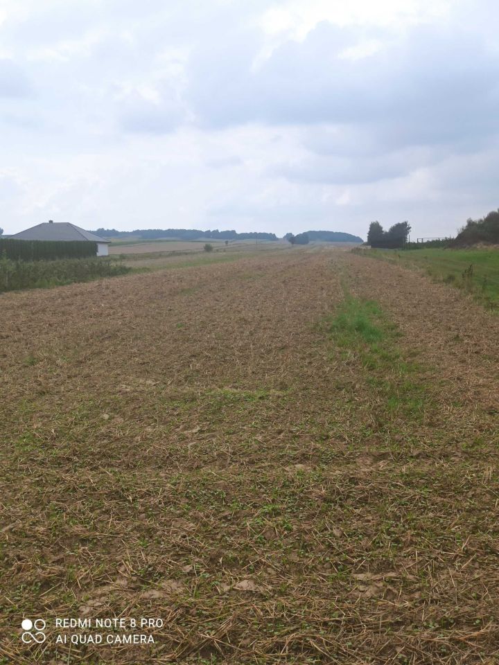 Działka rolna Piotrków Drugi. Zdjęcie 6