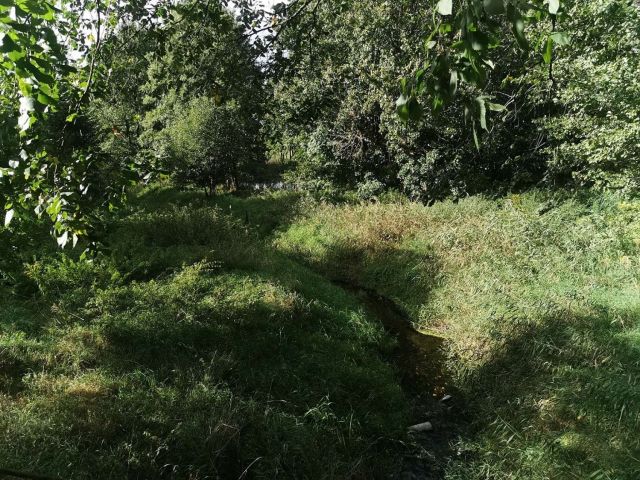 Działka rolna Złotów, ul. ks. dr. Bolesława Domańskiego. Zdjęcie 19