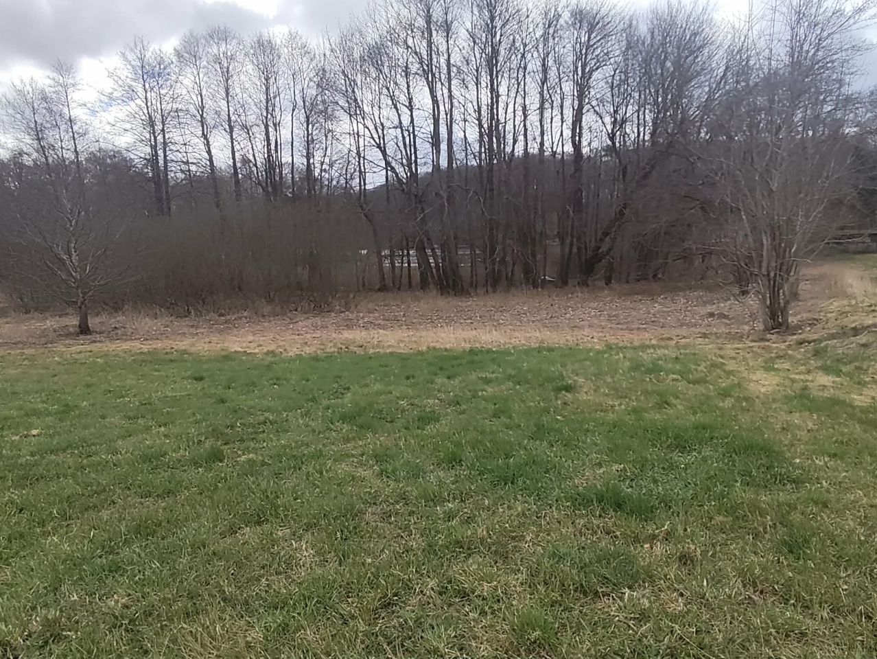 Działka budowlana Orle. Zdjęcie 7