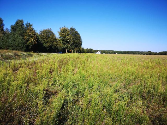 Działka budowlana Borowe. Zdjęcie 6