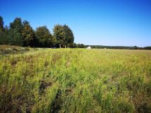 Działka budowlana Borowe. Zdjęcie 4