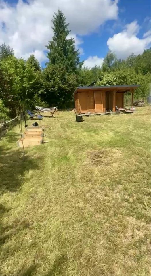 Działka rod Kielce, ul. Wschodnia. Zdjęcie 4