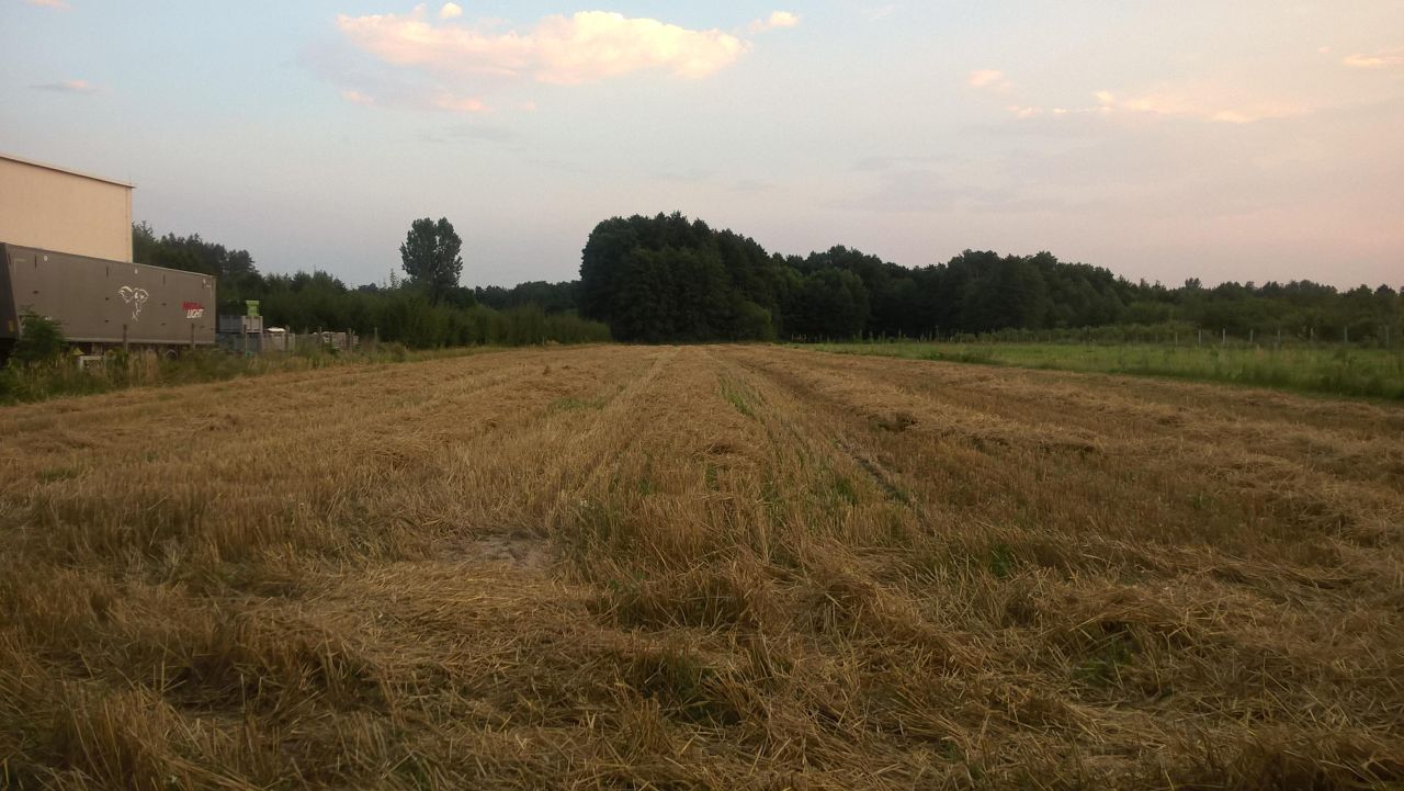 Działka rolno-budowlana Broniszew. Zdjęcie 8