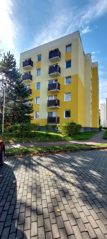 Mieszkanie do wynajęcia bez pośredników          
          
            Północ          
          
            Częstochowa