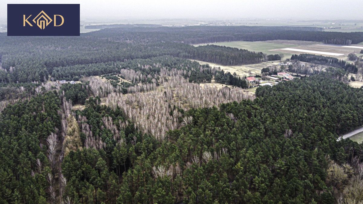 Działka inwestycyjna Dąbrowa Nowa. Zdjęcie 11