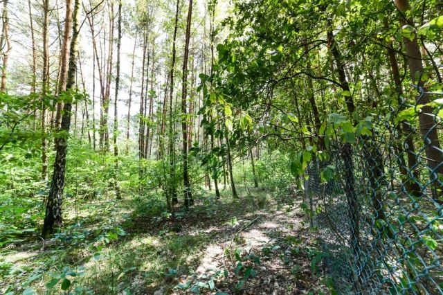 Działka rekreacyjna Poddębie. Zdjęcie 18