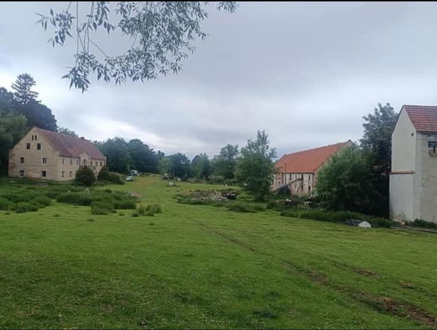 Działka rolno-budowlana Białowieża Siodłary. Zdjęcie 5