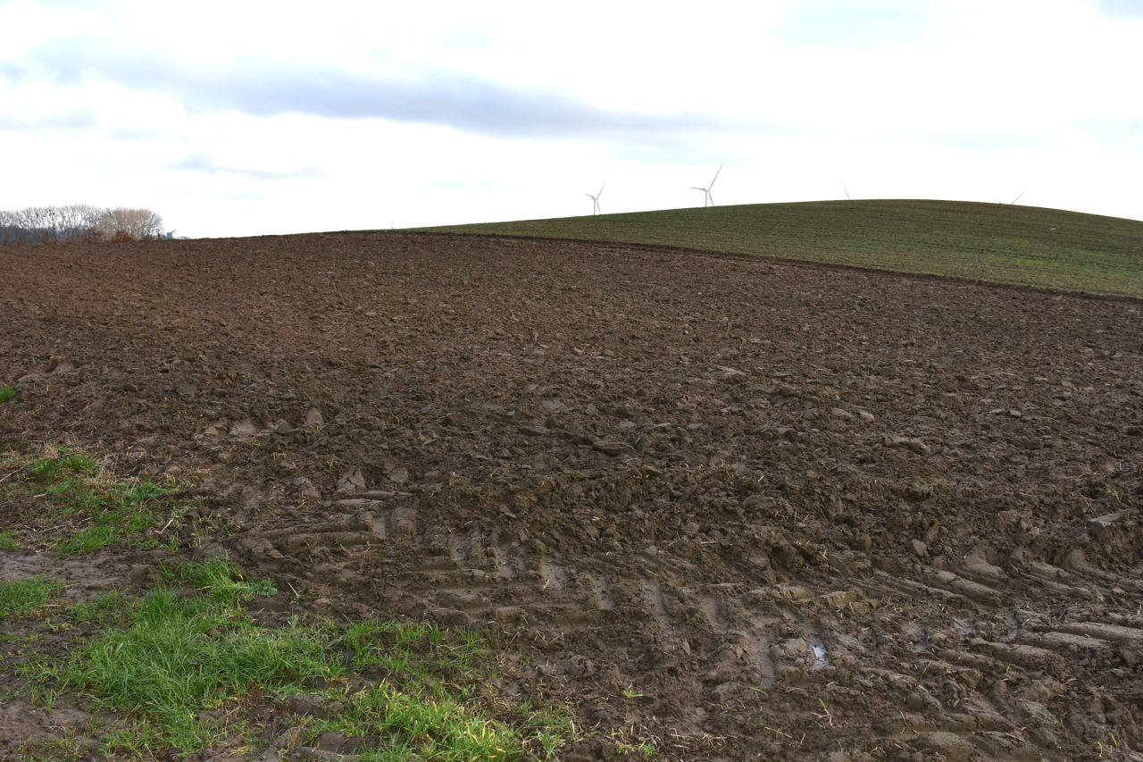 Działka rolna Bielice. Zdjęcie 2