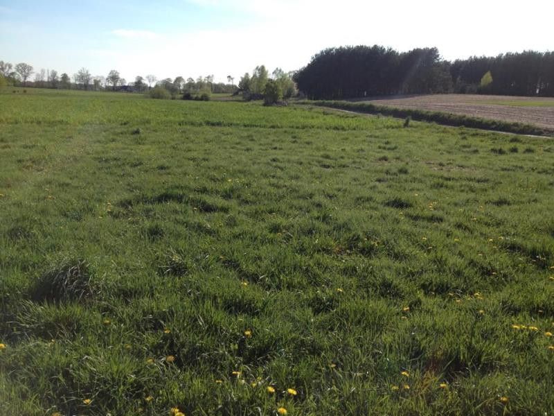 Działka budowlana Osiek. Zdjęcie 6