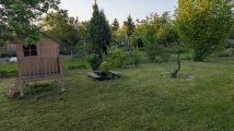 Działka rod Wrocław Stare Miasto. Zdjęcie 1