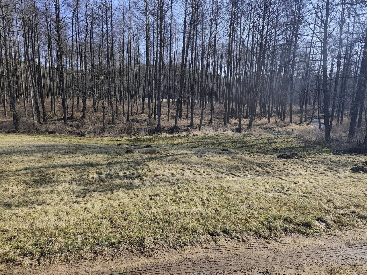 Działka rolna Okopy. Zdjęcie 3