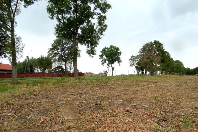 Działka rekreacyjna Dzierżenin