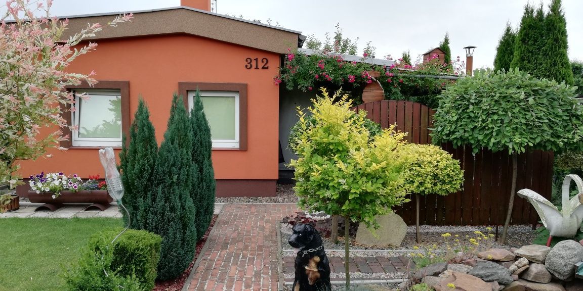 Działka rekreacyjna Wągrowiec