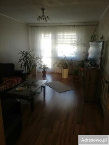 Mieszkanie 3-pokojowe Zabrze Zaborze, ul. Jana Pyki. Zdjęcie 1