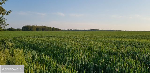 Działka budowlana Smolno, ul. Piękna. Zdjęcie 1