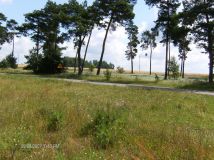 Działka rolna Proszew A. Zdjęcie 3