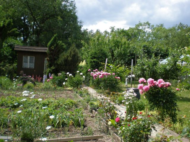 Działka rod Szczecin Bukowo, ul. Władysława Nehringa. Zdjęcie 1