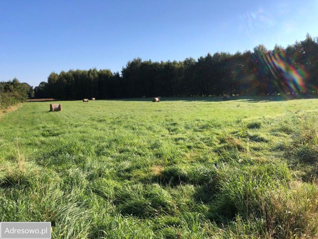 Działka rolno-budowlana Świeradów-Zdrój. Zdjęcie 1