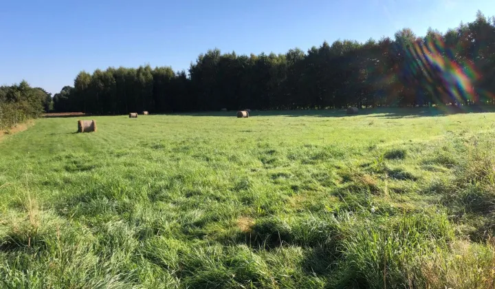 Działka rolno-budowlana Świeradów-Zdrój